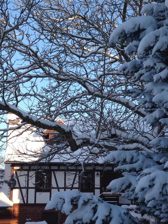 Ferienhaus Annabell Villa Weisbach  Exterior foto